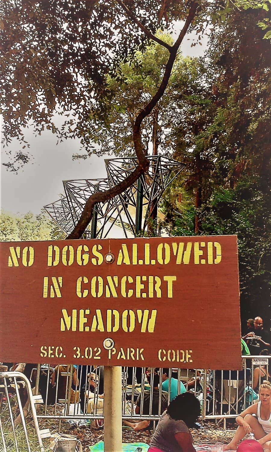 George's Donuts & Merriment