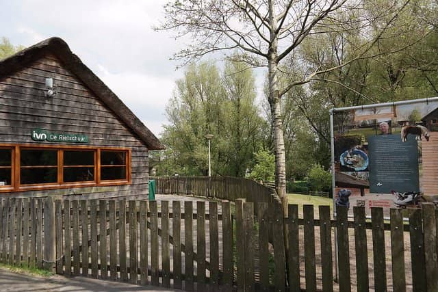 Pure Markt (Pure Market)