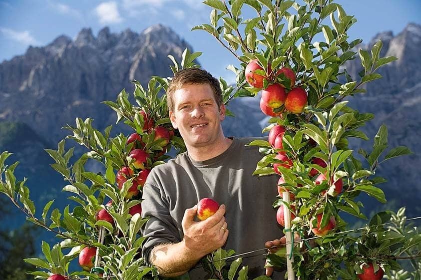 Engaging Distillery Tour