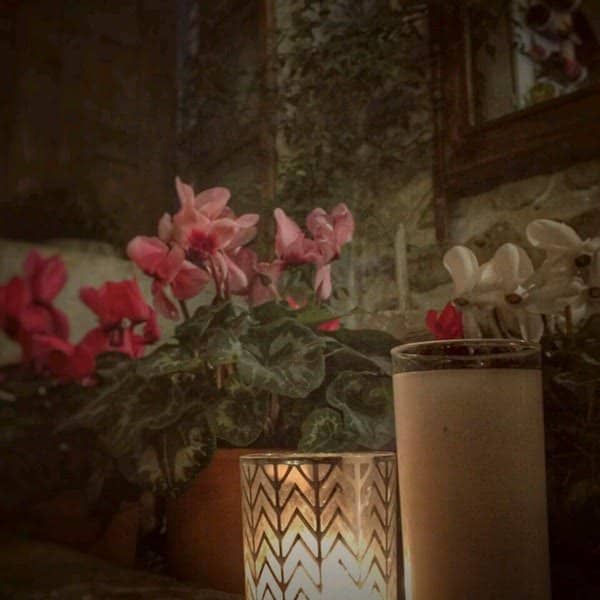 Charming Courtyard Ambiance