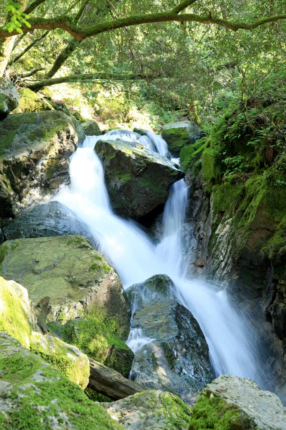 Sonoma Creek Falls