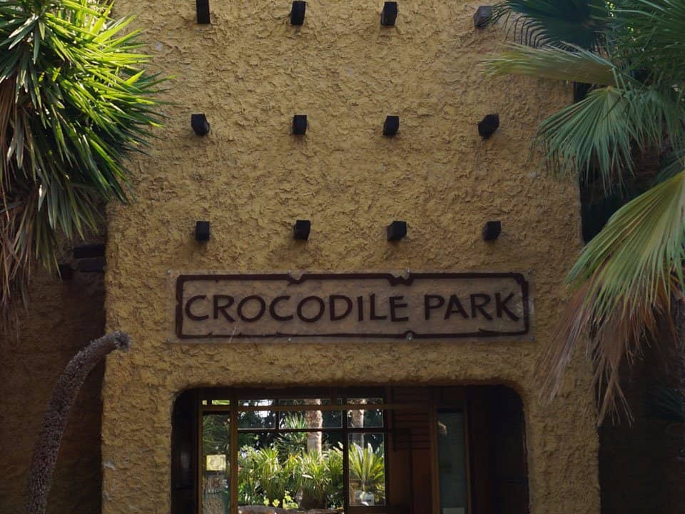 Diverse Crocodile Varieties