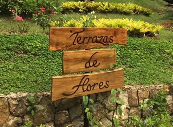 Art Gallery & Dec View