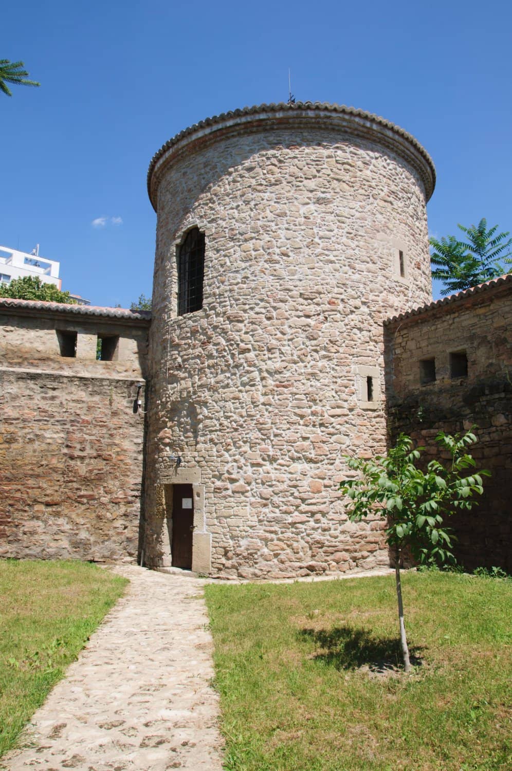 Vertical photo