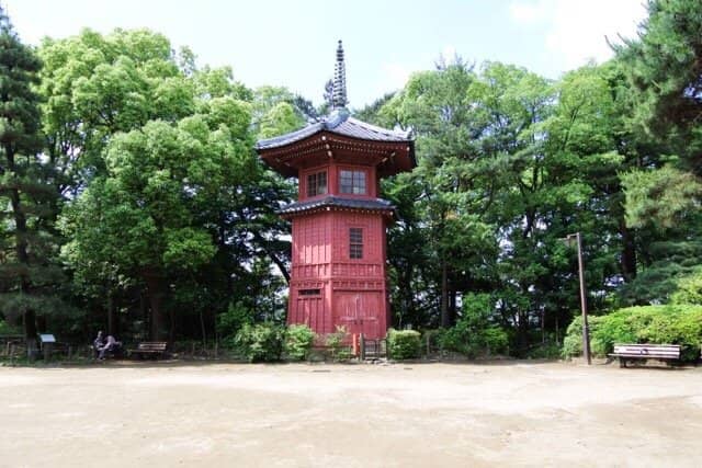 Vertical photo
