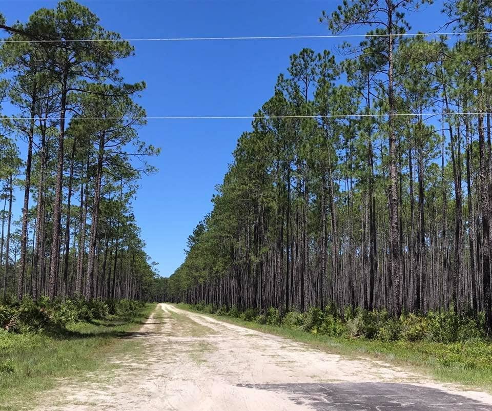 Camel Lake Loop