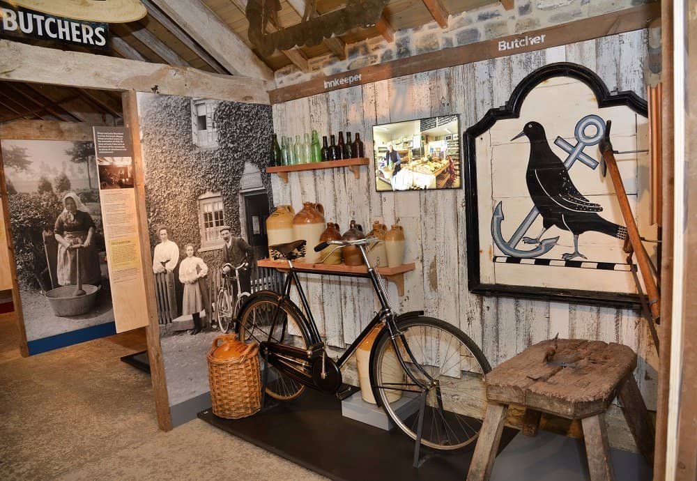 Special Exhibitions & Events