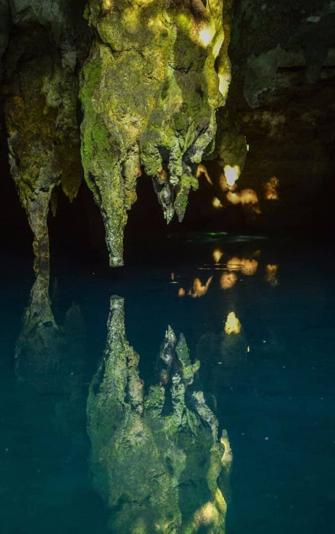 Delicious Local Eats