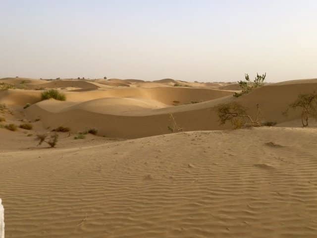 Star-Filled Night Skies