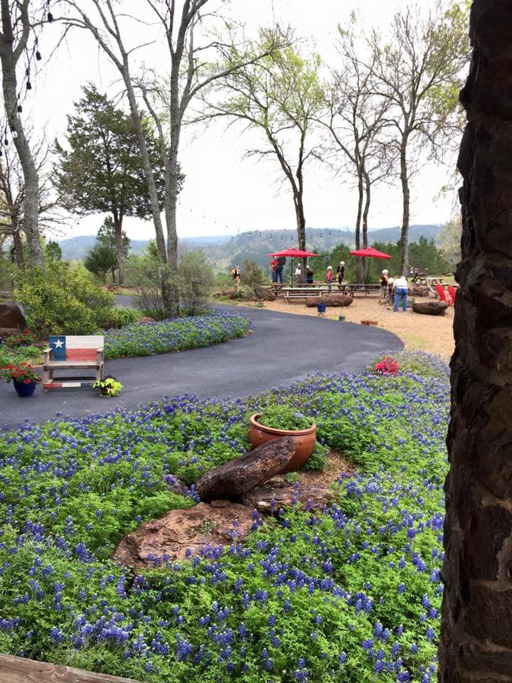 Family-Friendly Thrills