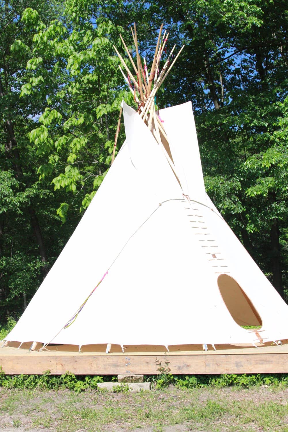 Educational Programs