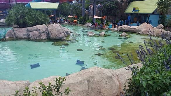 Kid-Friendly Zones