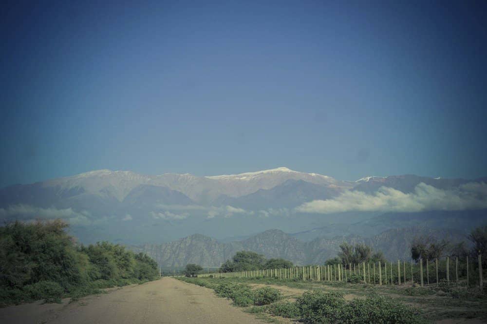 Wine Tasting Experience