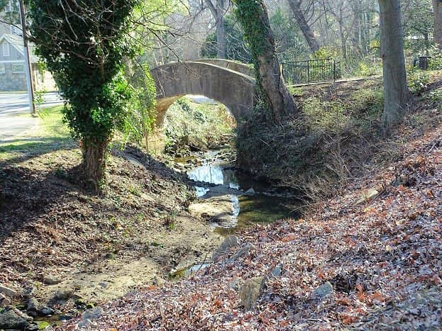 Shady Walking Trails