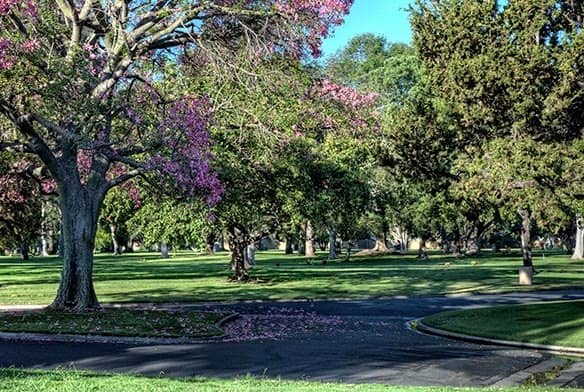 Seasonal Light Displays