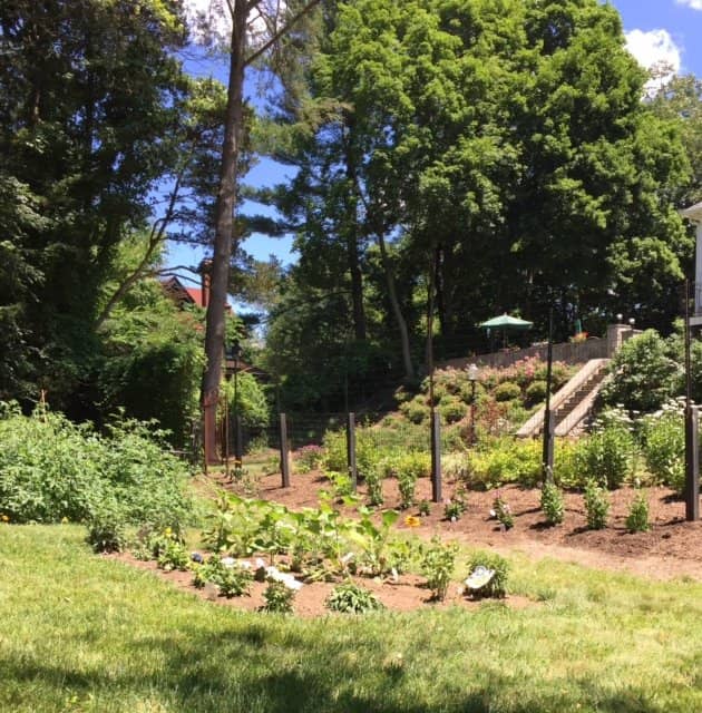 The Gardens