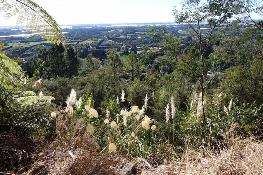 Sculpture Trails