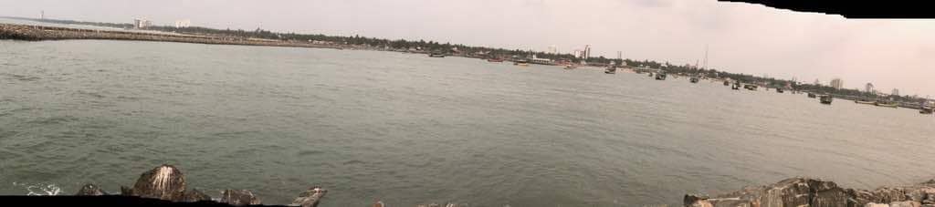 Street Food Delights