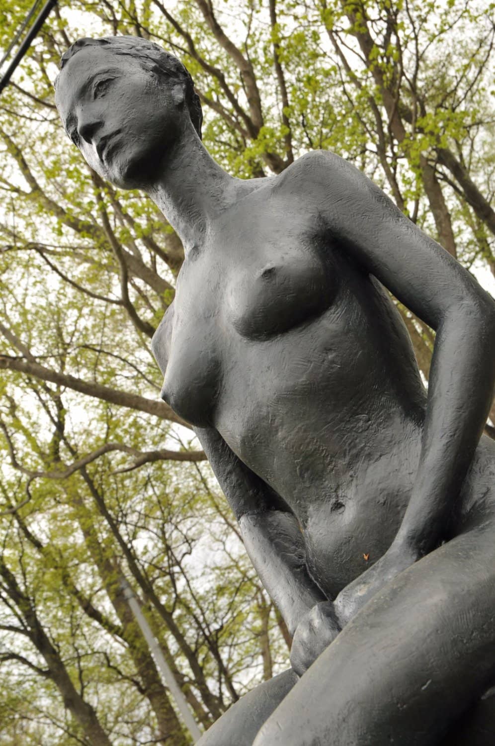 Winter Lake Unfrozen