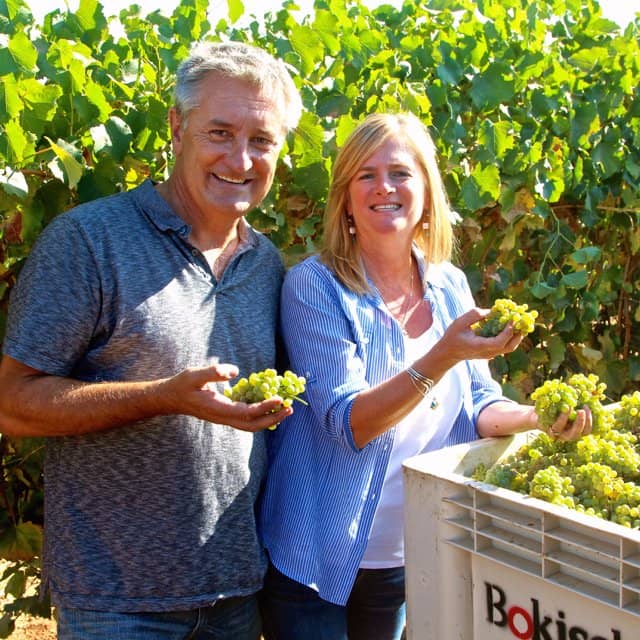 Scenic Vineyard Views