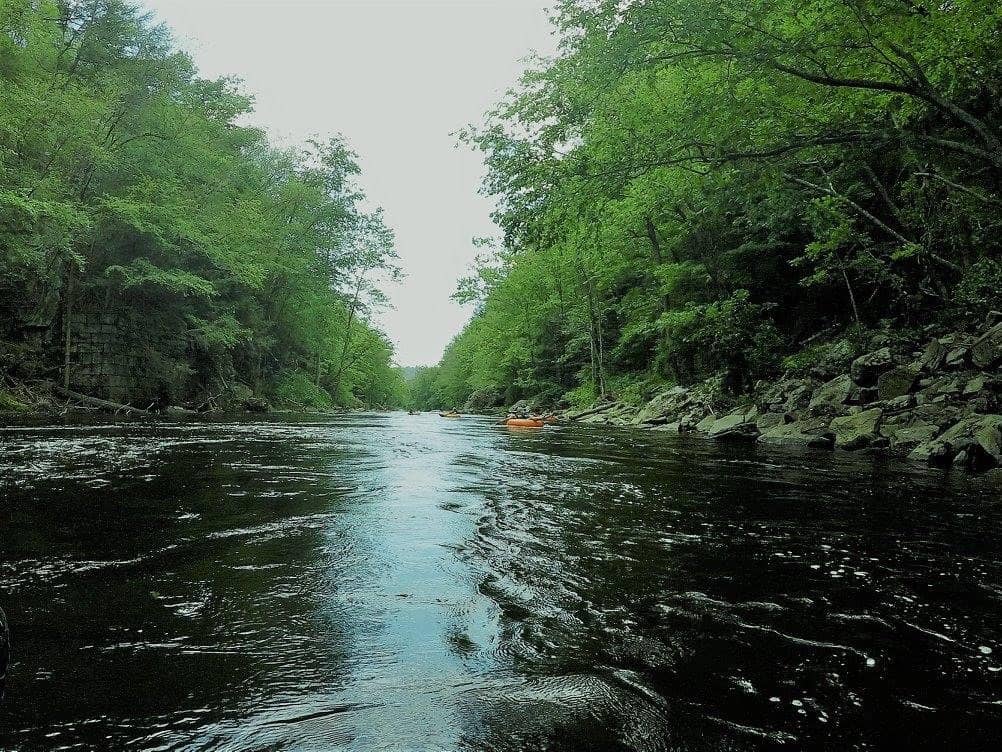 Family & Friends Fun