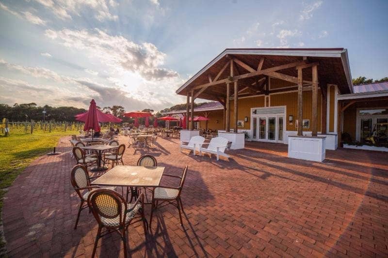 Farm Animal Encounters