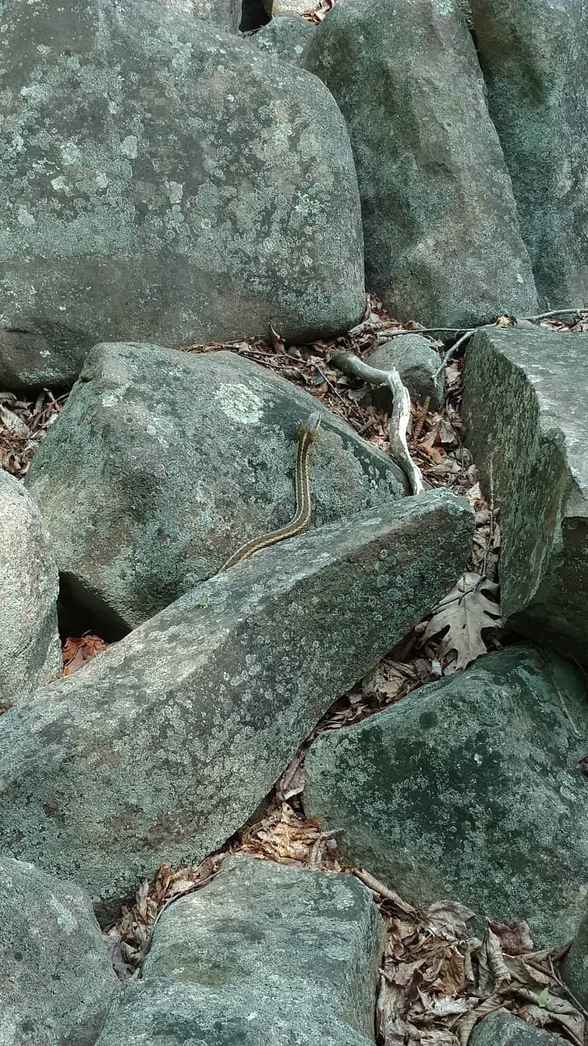 Shades of Death Trail