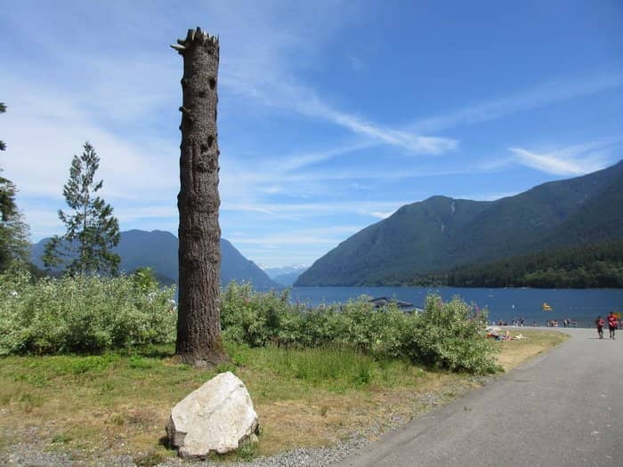 Lower Falls Trail