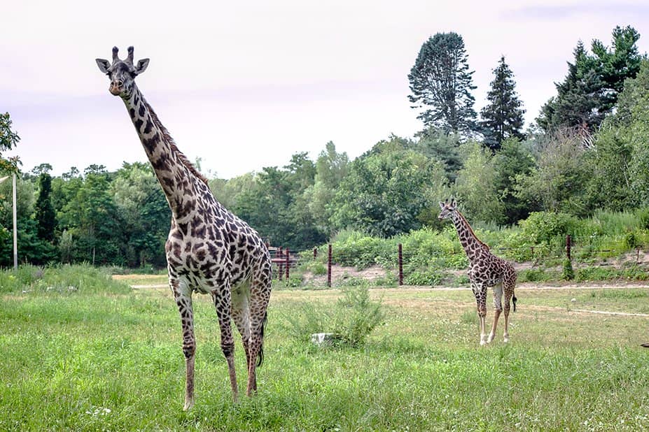 Bird World & Butterfly Hollow