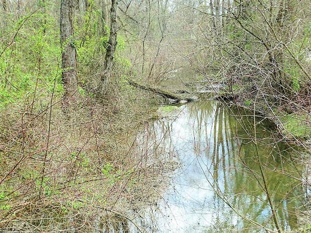 Greenway Trails