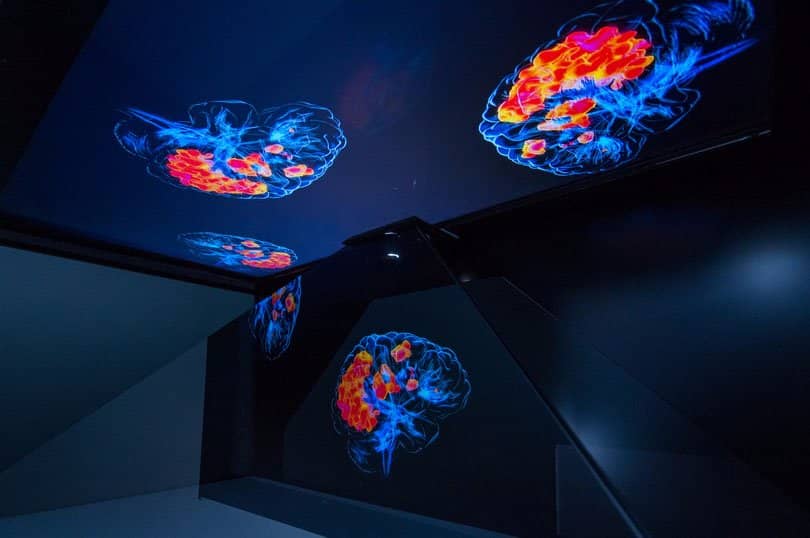 Art Installations