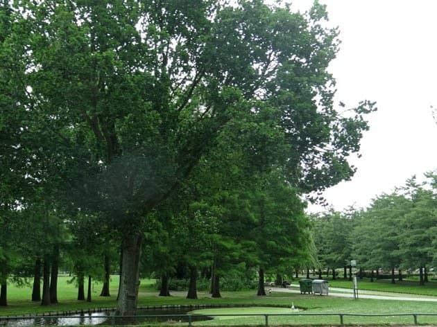 Children's Playground