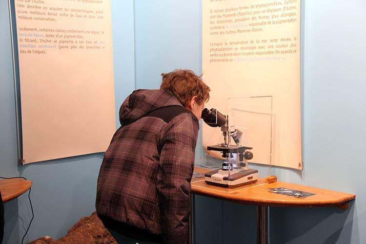 Interactive Museum Exhibits