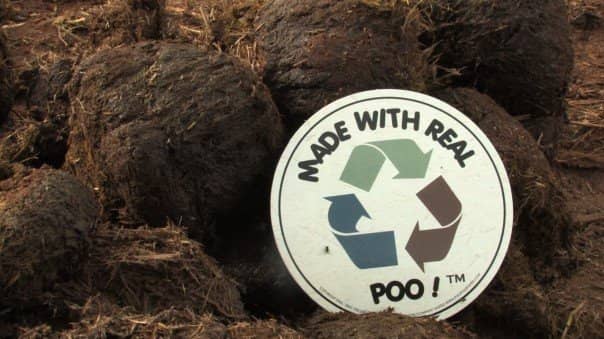 Eco-Friendly Souvenirs