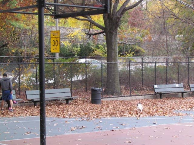 Picnic & BBQ Spots