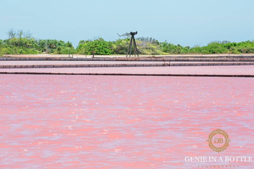 Biodiversity Hotspot