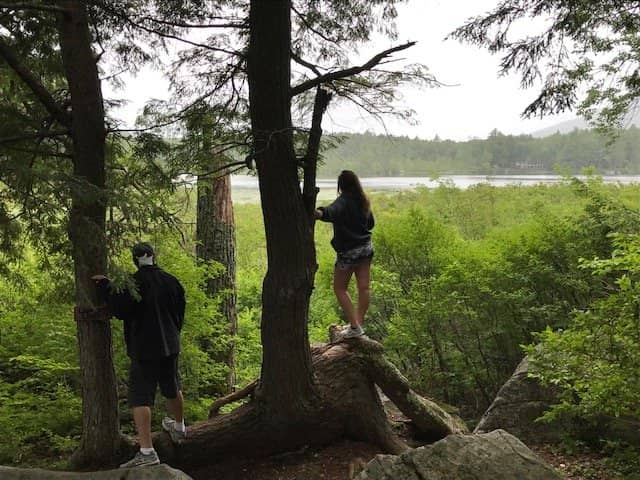 Conservation Efforts