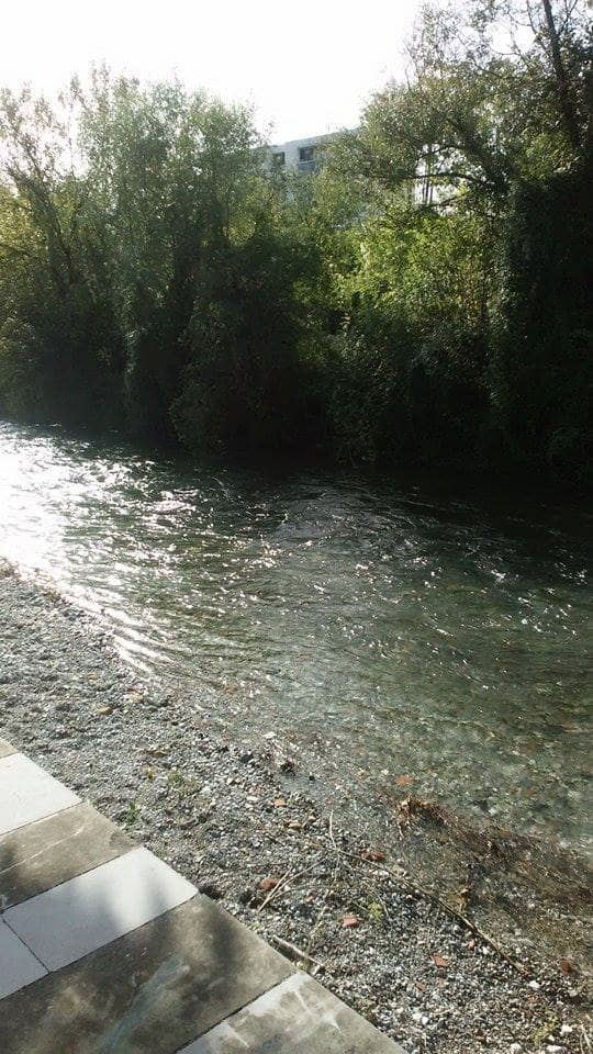 Dr. Risto Kuslev's Legacy