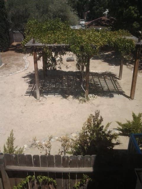 The Haunted Reputation