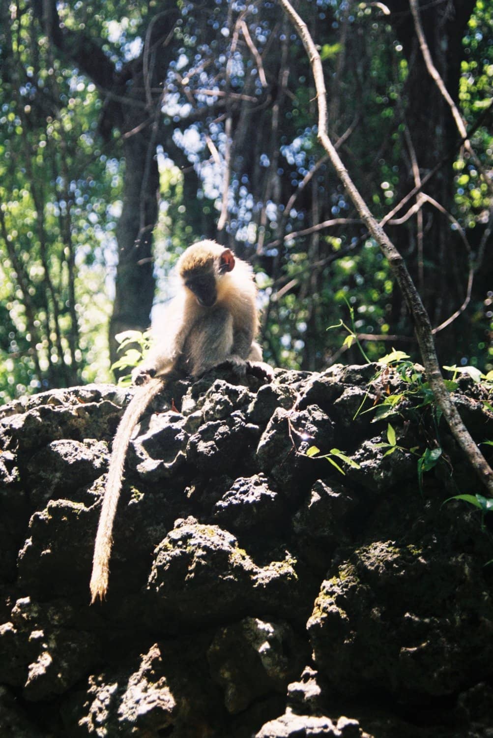 Grenade Hall Signal Station