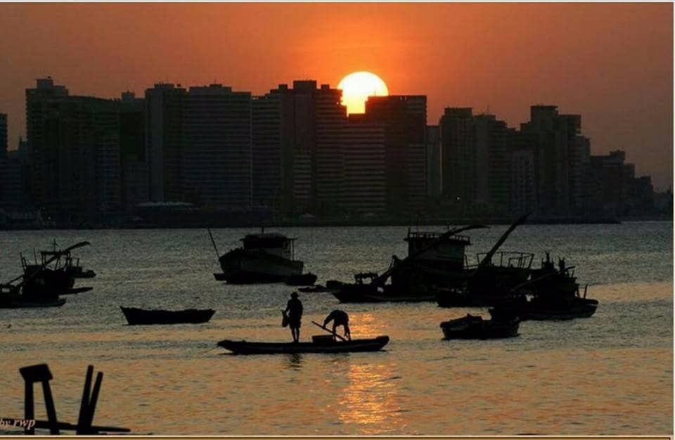 Fresh Shrimp Experience