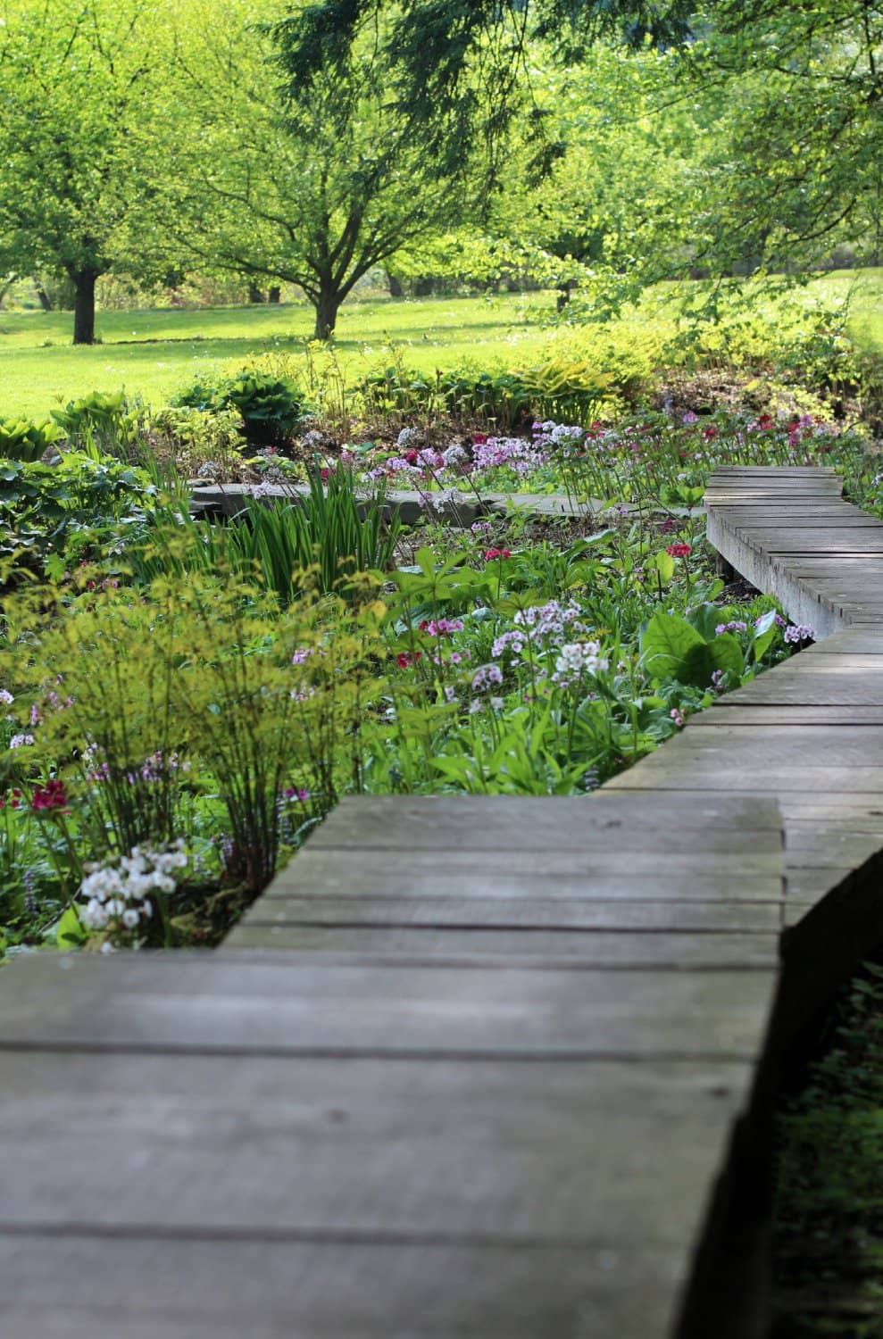 Sculpture Garden and Pond