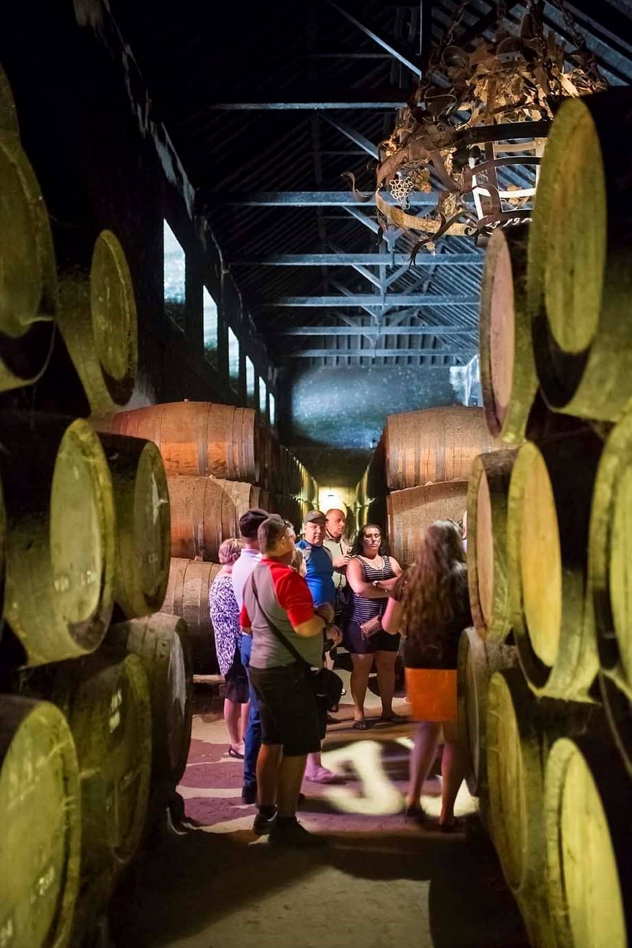 Estate Gardens and Property