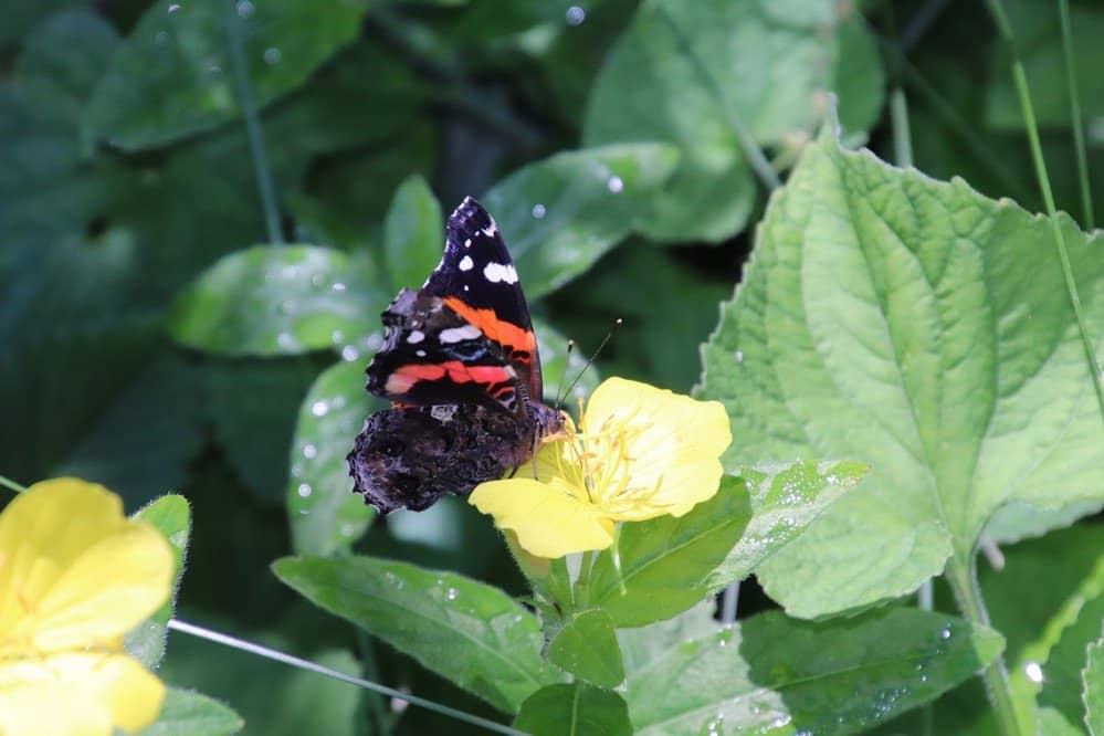Nature Center Exhibits