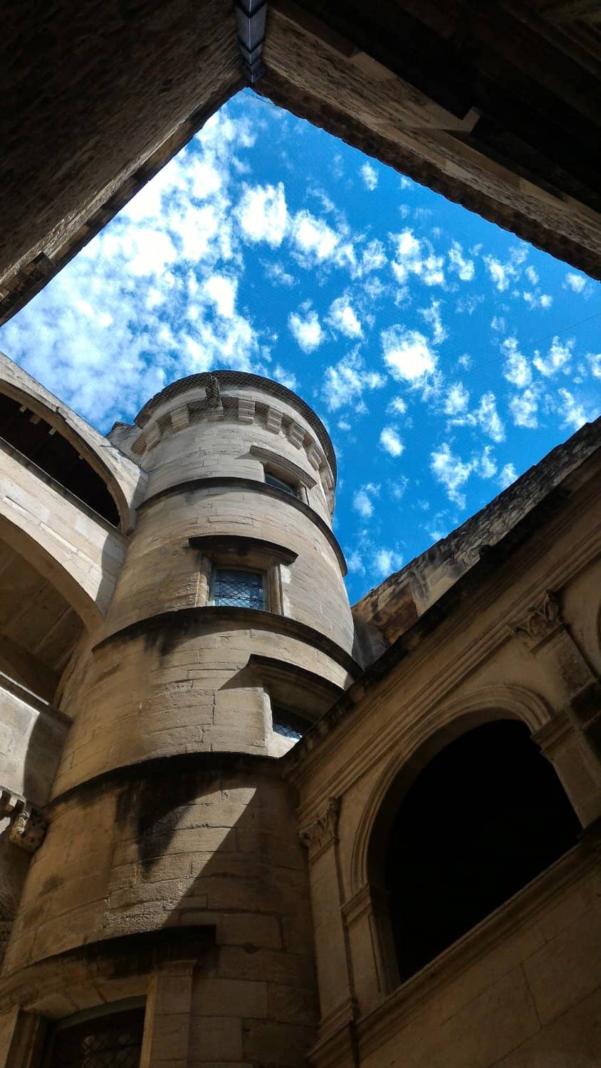 Teasel Industry History