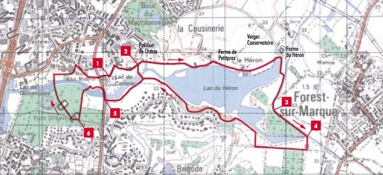 Diverse Dining Options