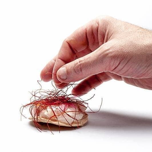 Tasting Variety with Half Portions