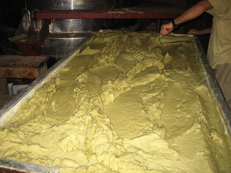 A Glimpse into the Past