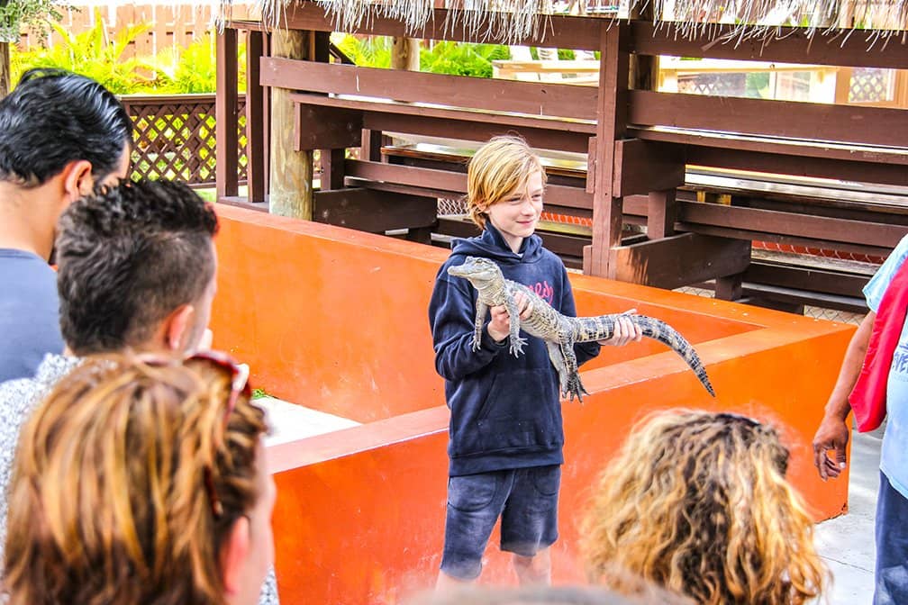 Airboat Rides