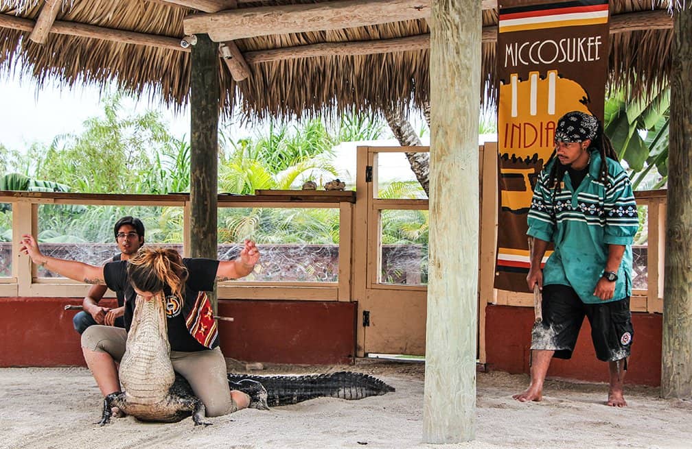 Traditional Chickee Huts